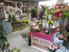 À vendre magasin de fleurs et de plantes situé au centre de Tournai- Mons - Courtrai Hainaut n°5