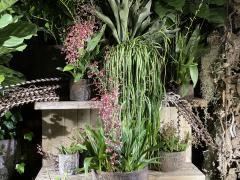 Boutique de fleurs - plantes et décoration dans le Brabant - Wallon Brabant wallon n°1
