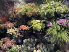 Boutique de fleurs - plantes et décoration dans le Brabant - Wallon Brabant wallon n°2