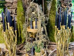 Boutique de fleurs - plantes et décoration dans le Brabant - Wallon Brabant wallon n°3