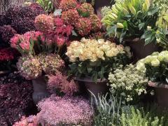 Boutique de fleurs - plantes et décoration dans le Brabant - Wallon Brabant wallon n°4