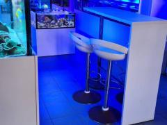 CONCEPT STORE SPÉCIALISE EN CORAUX et POISSONS EAU DE MER Bruxelles capitale n°3