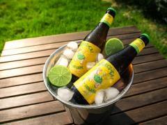 Cession de marque bières belges artisanales - segment haut de gamme Localisation non spécifiée n°1