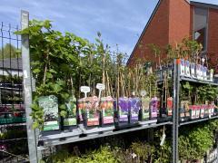 A vendre magasin de Jardinerie Outillage -Décoration dans le Brabant - Wallon Brabant wallon n°6