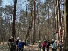 Hébergement outdoor pour les sportifs à proximité d'un espace nature dans la province de Brabant - Flamand Brabant flamand n°5