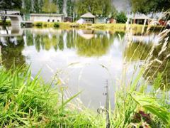 Domaine de loisirs dans le Limbourg Limbourg n°8