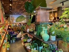 Magasin de fleurs - plantes et décoration maison dans le Brabant Flamand Brabant flamand n°1