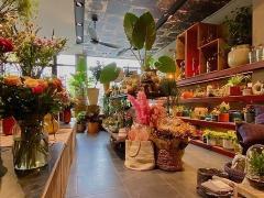 Magasin de fleurs - plantes et décoration maison dans le Brabant Flamand Brabant flamand n°2