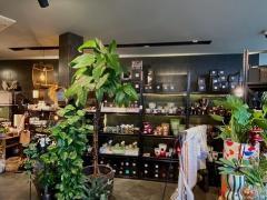 Magasin de fleurs - plantes et décoration maison dans le Brabant Flamand Brabant flamand n°3