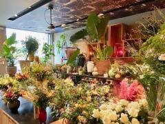 Magasin de fleurs - plantes et décoration maison dans le Brabant Flamand Brabant flamand n°4