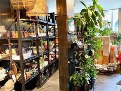 Magasin de fleurs - plantes et décoration maison dans le Brabant Flamand Brabant flamand n°5