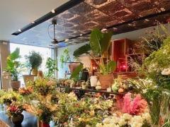 Magasin de fleurs - plantes et décoration maison dans le Brabant Flamand Brabant flamand n°6