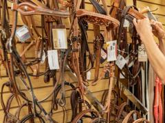 A vendre: Affaire spécialisée dans l'équipement et les produits complémentaires pour l'équitation. Hainaut n°2