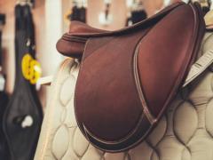 A vendre: Affaire spécialisée dans l'équipement et les produits complémentaires pour l'équitation. Hainaut n°3