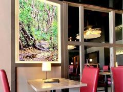 Vente de 100 % des parts sociales d'une brasserie située en plein centre de Fléron. Province de Liège n°7