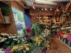 À vendre FLEURISTE Bruxelles (BXL CAPITALE) Bruxelles capitale n°1