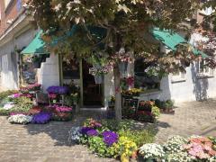 À vendre FLEURISTE Bruxelles (BXL CAPITALE) Bruxelles capitale n°2