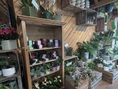 À vendre FLEURISTE Bruxelles (BXL CAPITALE) Bruxelles capitale n°4