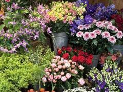 À vendre FLEURISTE Bruxelles (BXL CAPITALE) Bruxelles capitale n°5