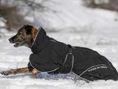 Te koop: e-commerce activiteit gespecialiseerd in hondensporten Locatie niet gespecificeerd