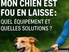 À vendre : activité e-commerce spécialisée dans les sports canins Localisation non spécifiée n°3