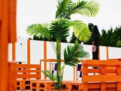 A vendre: Dancing - Beach club dans la région de Mons Hainaut n°3