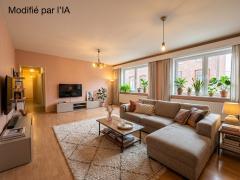Ensemble immobilier avec rez commercial et appartement 2 chambres Hainaut n°9