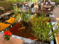 Restaurant de renom avec habitation, vaste terrasse et chiffre d'affaires proche du million d'euros France n°6