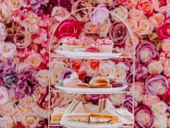 Opportunité unique de reprise à Anvers – Élégant High Tea Cake Lounge dans un emplacement de premier choix à côté du MAS Anvers n°6